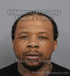 Mugshot of RASHAD HAKIN AMOS booked in Hillsborough County, Florida on June 15, 2026
