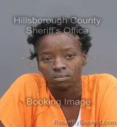 Mugshot of VONNESHA KING booked in Hillsborough County, Florida on June 15, 2026