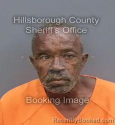 Mugshot of LOUVON WILLIAMS booked in Hillsborough County, Florida on June 15, 2026