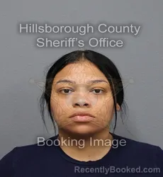 Mugshot of ASHLEY CANDELIER booked in Hillsborough County, Florida on June 15, 2026