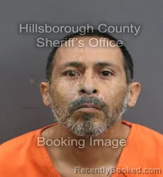 Mugshot of RUBEN ELISONDO booked in Hillsborough County, Florida on June 15, 2026