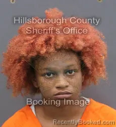 Mugshot of JASPER GLADYS ELIZABETH ZARAIYA booked in Hillsborough County, Florida on June 15, 2026