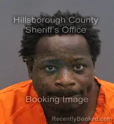 Mugshot of TIJA SAAJAD KERELL TOLBERT booked in Hillsborough County, Florida on June 15, 2026