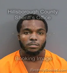 Mugshot of JAQUAI JAYTWONE HENRY booked in Hillsborough County, Florida on June 15, 2026