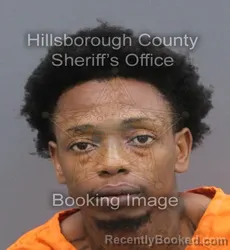 Mugshot of LEVI MARCEL STEVENSON booked in Hillsborough County, Florida on June 15, 2026