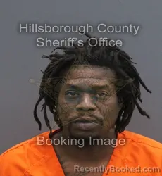 Mugshot of BRUNSRICK DUETSCHE JR PARRIS booked in Hillsborough County, Florida on June 15, 2026