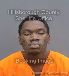 Mugshot of JAMARION EDWARD JACKSON booked in Hillsborough County, Florida on June 15, 2026