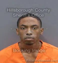 Mugshot of KEONTAY DEWANE WOODS booked in Hillsborough County, Florida on June 15, 2026