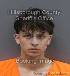 Mugshot of KHALED RAED MAHMOU BADAWI booked in Hillsborough County, Florida on June 15, 2026