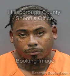 Mugshot of LANCINET DELLUM STEPHENS