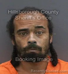 Mugshot of TYRONE ANTHONY GATES booked in Hillsborough County, Florida on June 16, 2026