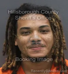 Mugshot of JULIEN NICHOLAS PIERRE booked in Hillsborough County, Florida on June 16, 2026