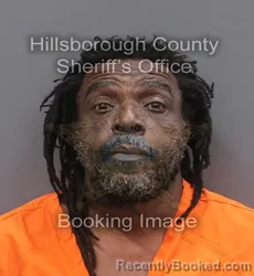 Mugshot of MELVIN ANTONIO JR GERARD booked in Hillsborough County, Florida on June 16, 2026