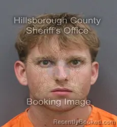Mugshot of PRESTON LEE MERCADO booked in Hillsborough County, Florida on June 16, 2026