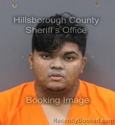 Mugshot of TAHSIFUL ISLAM NIBIR booked in Hillsborough County, Florida on June 16, 2026