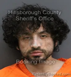 Mugshot of ADAM ANIBAL BELAUNZARAN booked in Hillsborough County, Florida on June 16, 2026