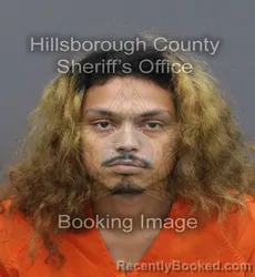 Mugshot of HECTAVIOUS ROSARIO booked in Hillsborough County, Florida on June 16, 2026