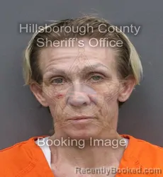 Mugshot of KELLEY JOLENE FELKER booked in Hillsborough County, Florida on June 16, 2026