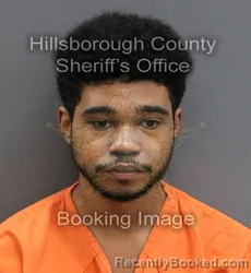 Mugshot of RAZIEL LORA booked in Hillsborough County, Florida on June 16, 2026