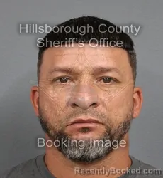 Mugshot of BENIGNO JR BORGES booked in Hillsborough County, Florida on June 16, 2026