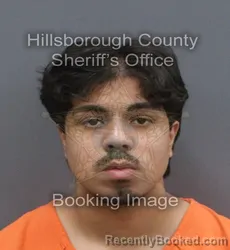 Mugshot of DIEGO ANDRES TORRES booked in Hillsborough County, Florida on June 16, 2026