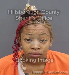 Mugshot of LILLIE ELESHA QUARTERMAN HARDIN booked in Hillsborough County, Florida on June 16, 2026