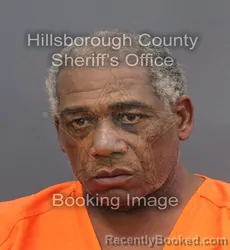 Mugshot of BERTEL BROOK ROBERTS booked in Hillsborough County, Florida on June 16, 2026