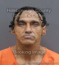 Mugshot of LUIS ABEL BURGOS booked in Hillsborough County, Florida on June 16, 2026
