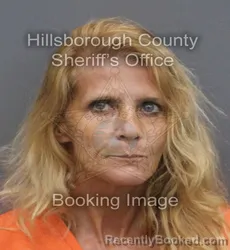Mugshot of THERESA MARIE HAYDEN booked in Hillsborough County, Florida on June 16, 2026