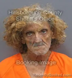 Mugshot of WILLIAM BLAKE JR LANGFORD booked in Hillsborough County, Florida on June 16, 2026
