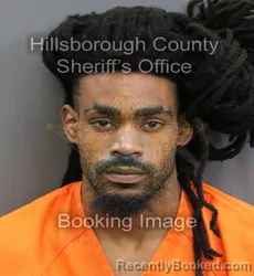 Mugshot of JA'NEIL RAHIM JOHNSON booked in Hillsborough County, Florida on June 16, 2026