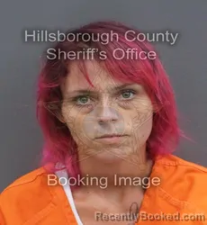 Mugshot of KAYLEIGH MARIE JACKSON booked in Hillsborough County, Florida on June 16, 2026