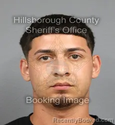 Mugshot of JOSHUA JOSE MARTINEZ booked in Hillsborough County, Florida on June 16, 2026