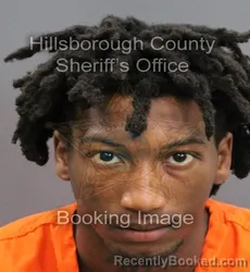 Mugshot of ANTONIO LAMAR HILL booked in Hillsborough County, Florida on June 16, 2026