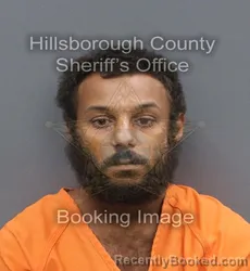 Mugshot of MALAKAI EDWARD EWING booked in Hillsborough County, Florida on June 16, 2026
