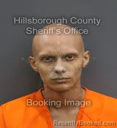 Mugshot of SENCER F TRAVIESO booked in Hillsborough County, Florida on June 16, 2026