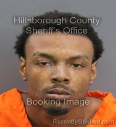 Mugshot of BRIAN FORD booked in Hillsborough County, Florida on June 16, 2026