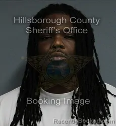 Mugshot of WAYNE ONEIL JR STEWART booked in Hillsborough County, Florida on June 16, 2026