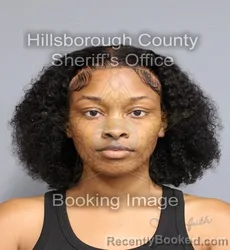 Mugshot of RIKEL SHANTELL STUBBINS booked in Hillsborough County, Florida on June 16, 2026