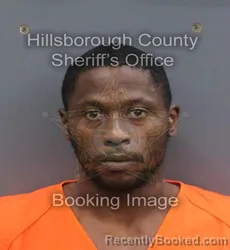 Mugshot of ALFREDO AUGUSTA booked in Hillsborough County, Florida on June 16, 2026
