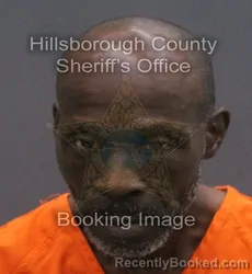 Mugshot of WILLIE DAREE MCKINLEY booked in Hillsborough County, Florida on June 16, 2026