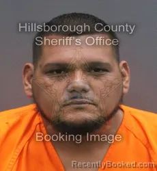 Mugshot of LEONARDO TOMAS VIDAL booked in Hillsborough County, Florida on June 16, 2026