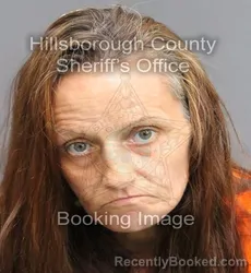 Mugshot of APRIL JOY ANGLIN booked in Hillsborough County, Florida on June 16, 2026