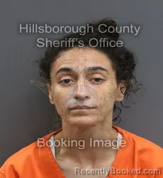 Mugshot of KENNEDY ANGELICA-MARIE HARRIS booked in Hillsborough County, Florida on June 17, 2026