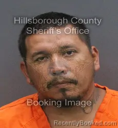 Mugshot of CORY ALLEN HARBER booked in Hillsborough County, Florida on June 17, 2026