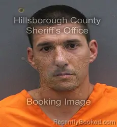 Mugshot of KYLE JOHN BROCKETT booked in Hillsborough County, Florida on June 17, 2026