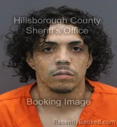Mugshot of JOMAR ANDRES VELEZ VELEZ booked in Hillsborough County, Florida on June 17, 2026
