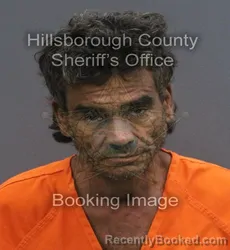 Mugshot of HECTOR LUIS SOTO booked in Hillsborough County, Florida on June 17, 2026