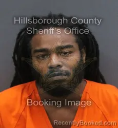 Mugshot of TIRON WESLEY JACKSON booked in Hillsborough County, Florida on June 17, 2026