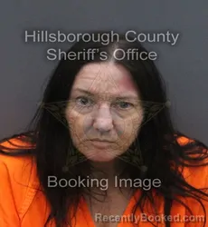 Mugshot of ARIANNA ANASTASIA HOULLIS booked in Hillsborough County, Florida on June 17, 2026